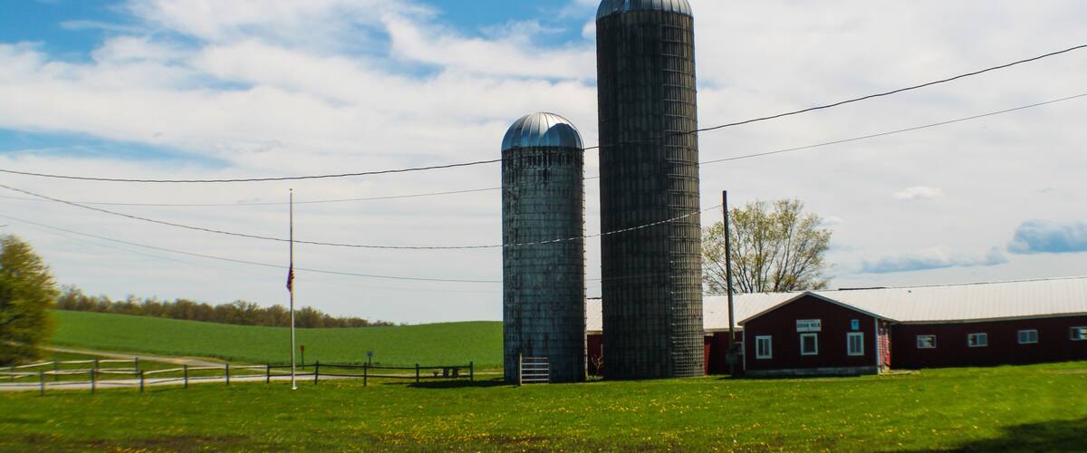 Two large silos, a barn, and a green field under a blue sky.