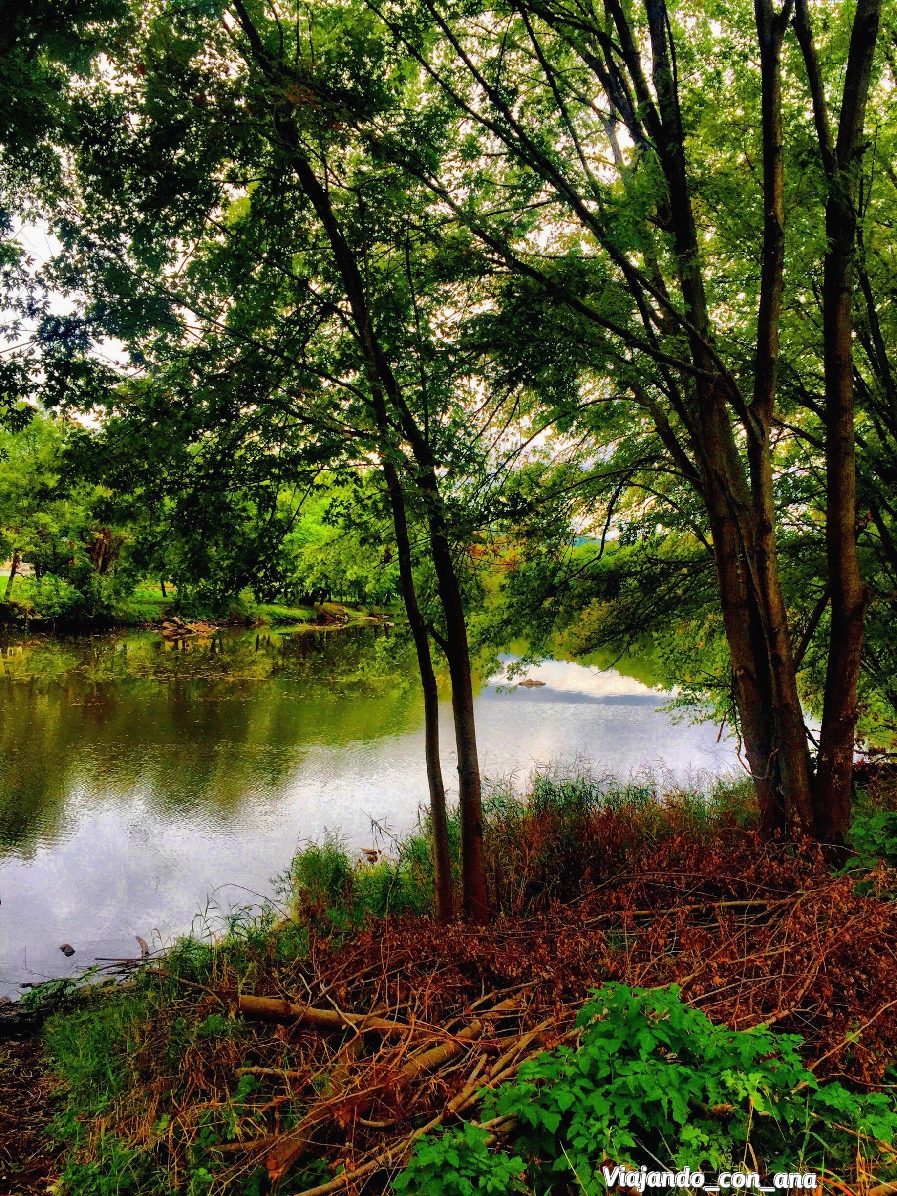 Mongomery New York😍