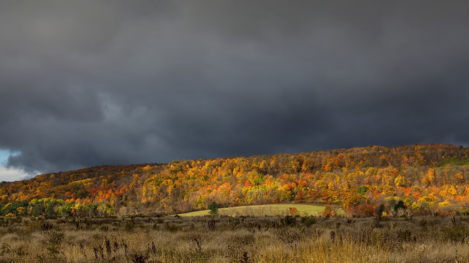 A hilly landscape with autumn-colored trees and a cloudy sky.