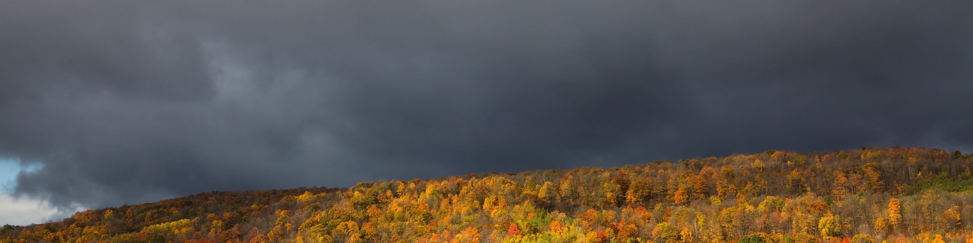 Autumn foliage in the Mohawk Valley, Montgomery County, New York State, USA.