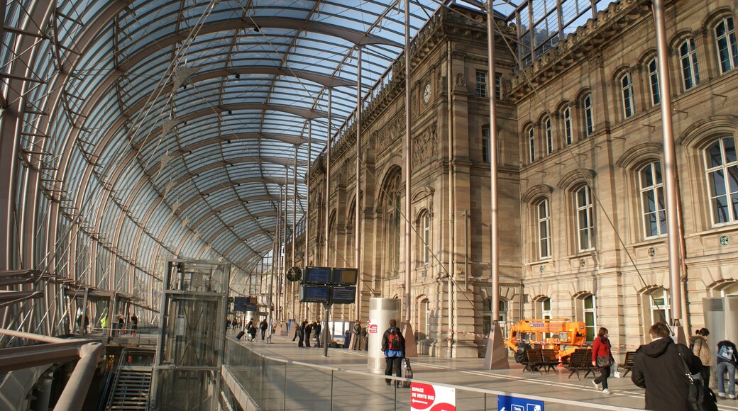 Strasbourg Station, interior of the glass frontage extension, built to extend circulation space for the TGV-Sud services, 3/09.