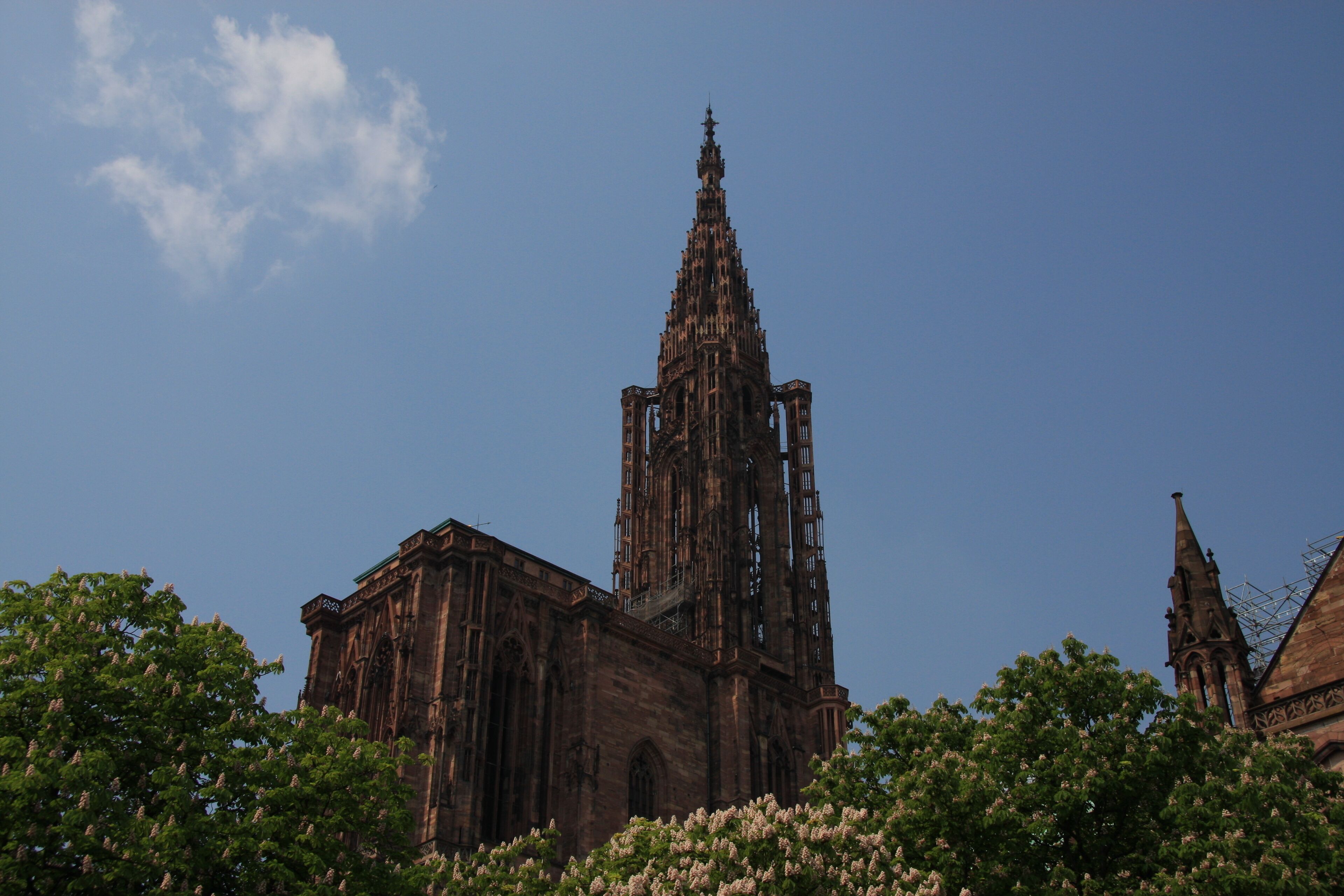 A Gothic cathedral with a tall spire and intricate architecture.
