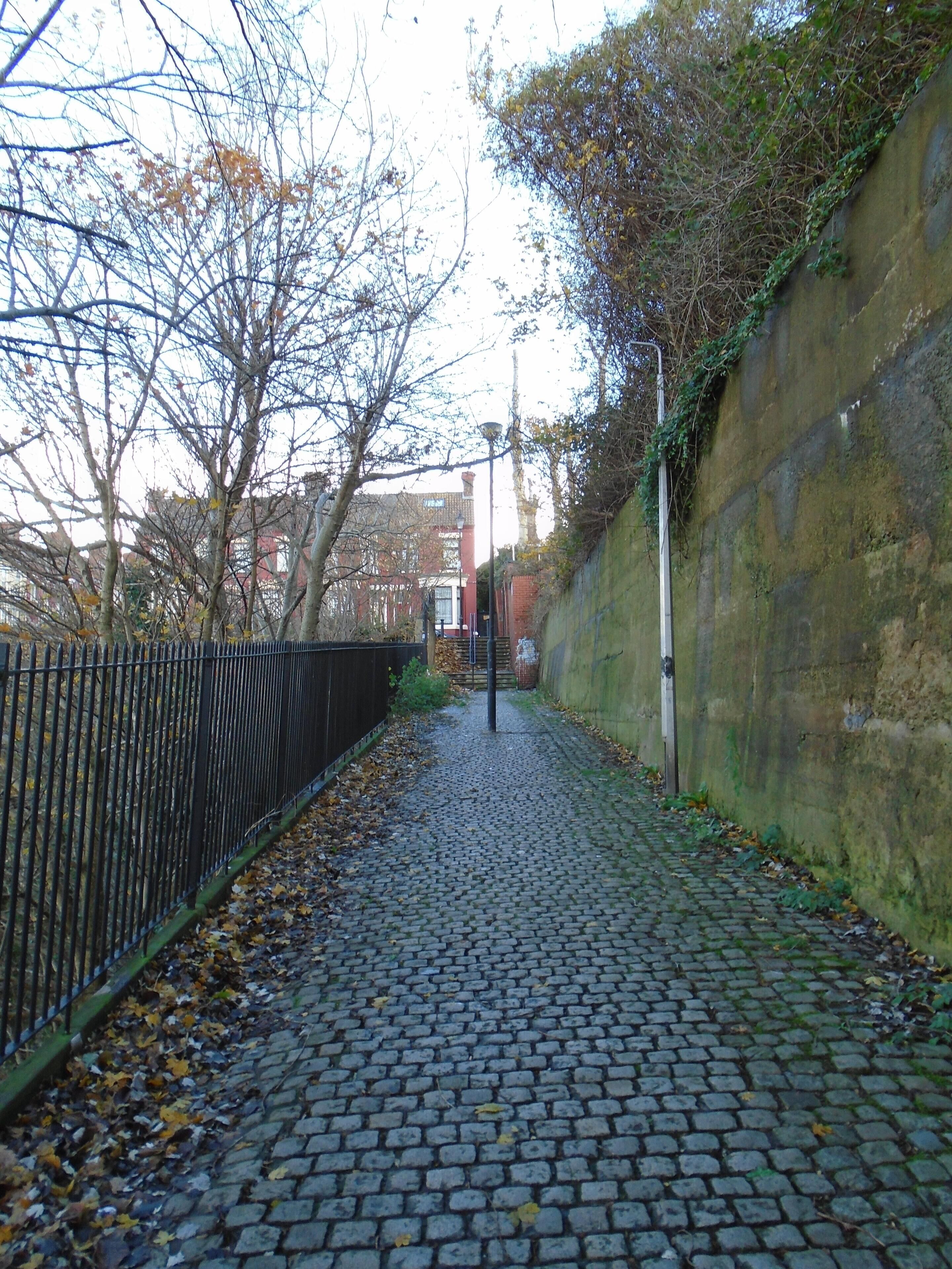 Looking north back to Grafton Street from halfway along the main section