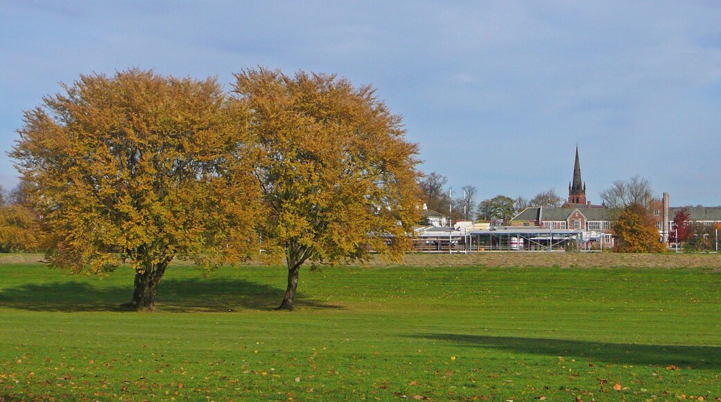 Clifton Long Reach 3