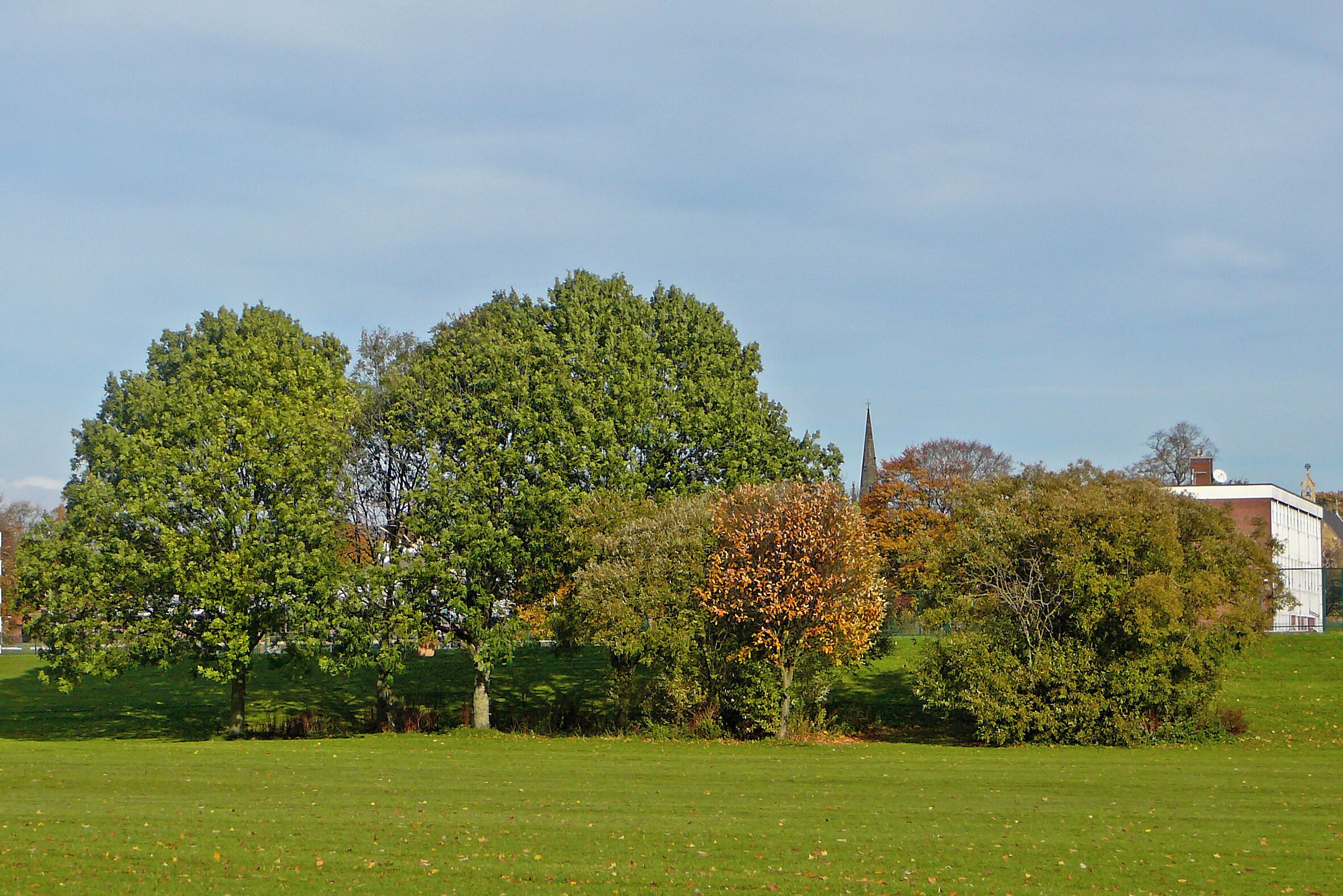 Clifton Long Reach 4