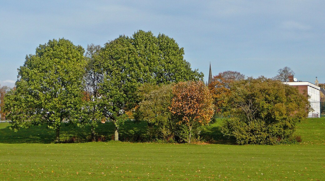 Clifton Long Reach 4