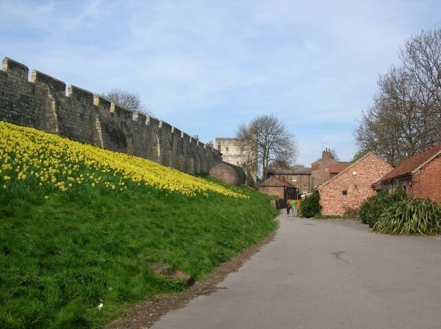 City walls and ice house Part of York's city walls. In front is a pub, and between it and the walls can be seen an old ice house, used to keep meat fresh in the days before refrigeration.