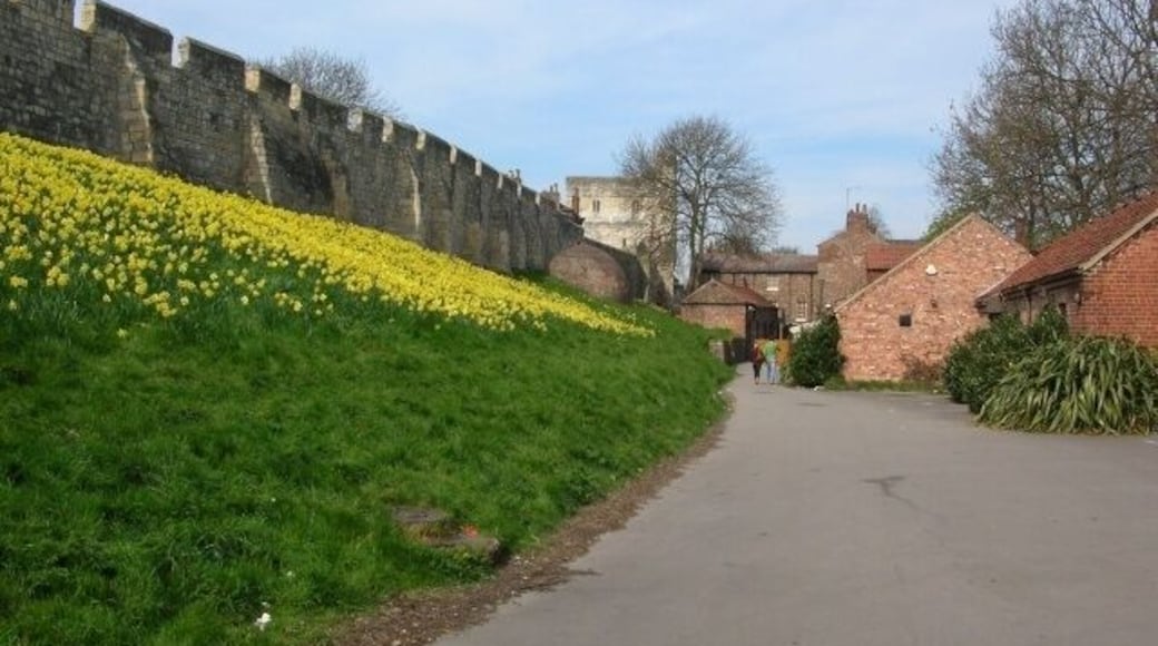 City walls and ice house Part of York's city walls. In front is a pub, and between it and the walls can be seen an old ice house, used to keep meat fresh in the days before refrigeration.