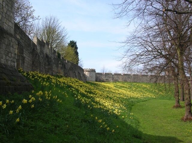 City Walls - Foss Islands Part of York's city walls. This is across the road from the multi-storey car park.