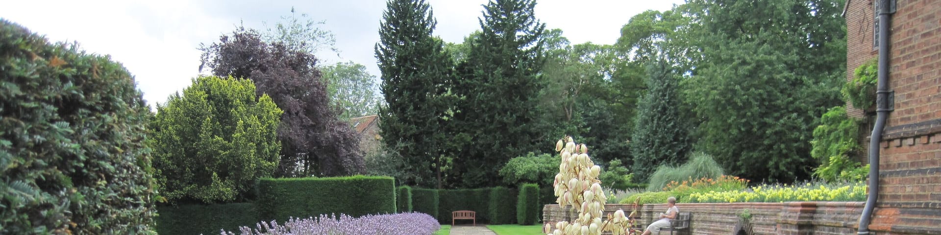 A garden with lavender, a stone pathway, and a brick wall.
