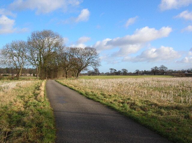 Route 65. National cycle route 65. This view is towards the racecourse. The A64 is on the far right of the image.