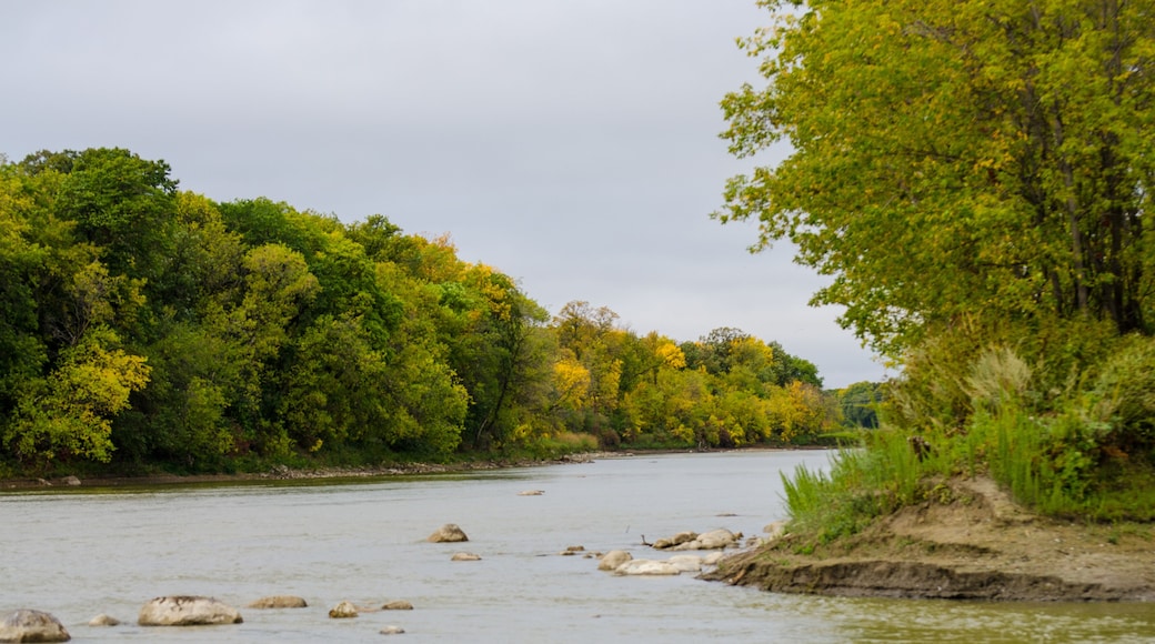 Assiniboine River in Autumn, Winnipeg