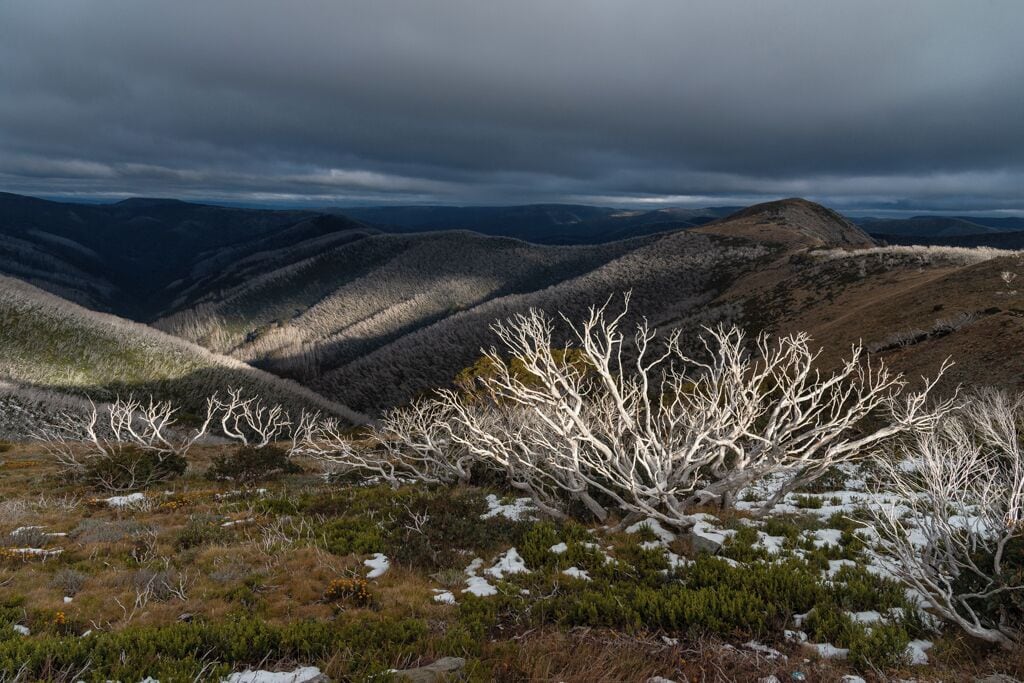 Drive up to Mt. Hotham Resort during Autumn.