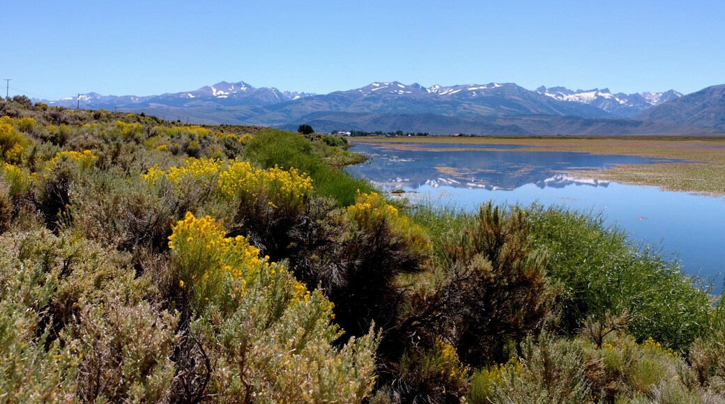 ブリッジポート 貯水池