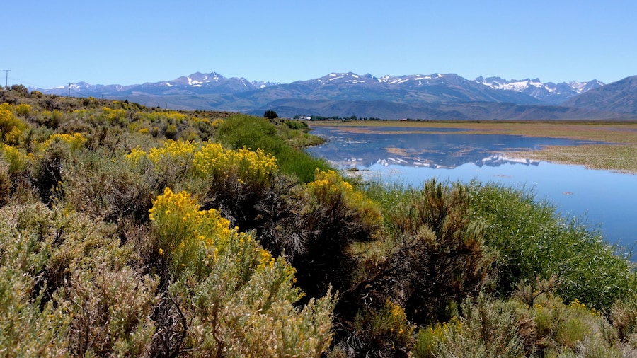 Bridgeport Reservoir
