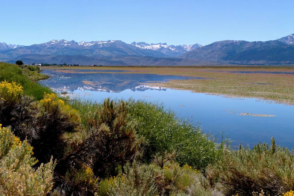 Un lago rodeado de montañas y flores amarillas silvestres.