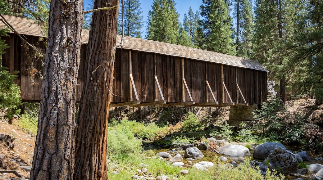 View of Yosemite Wawona covered Bridge over the South Fork Merced River in Mariposa, during the summer, California, USA