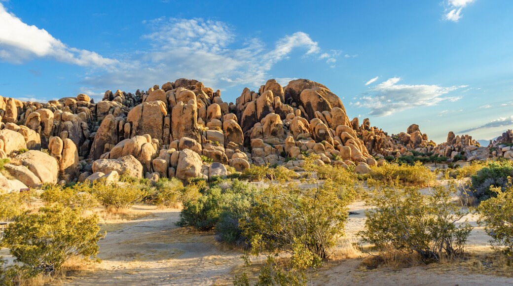 Horsemen's Center Park