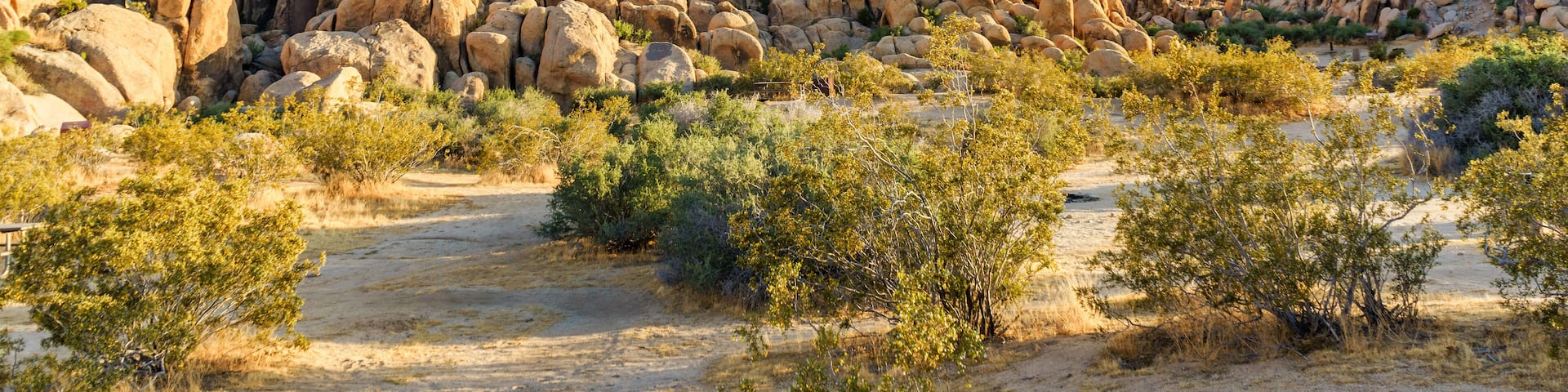 A desert landscape with large rock formations and sparse vegetation.