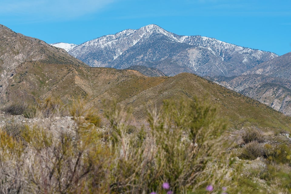 A mountainous landscape with snow-capped peaks and purple wildflowers in the foreground.