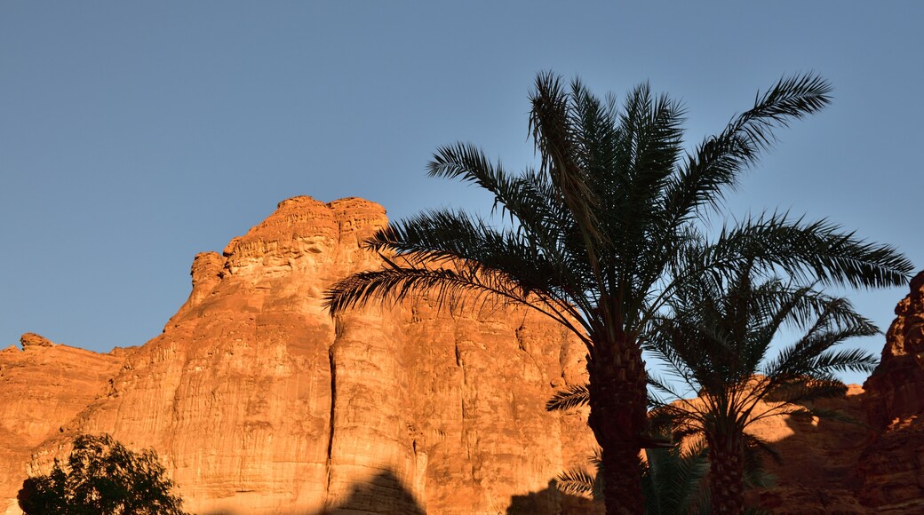 บานิ ฮาริทะห์