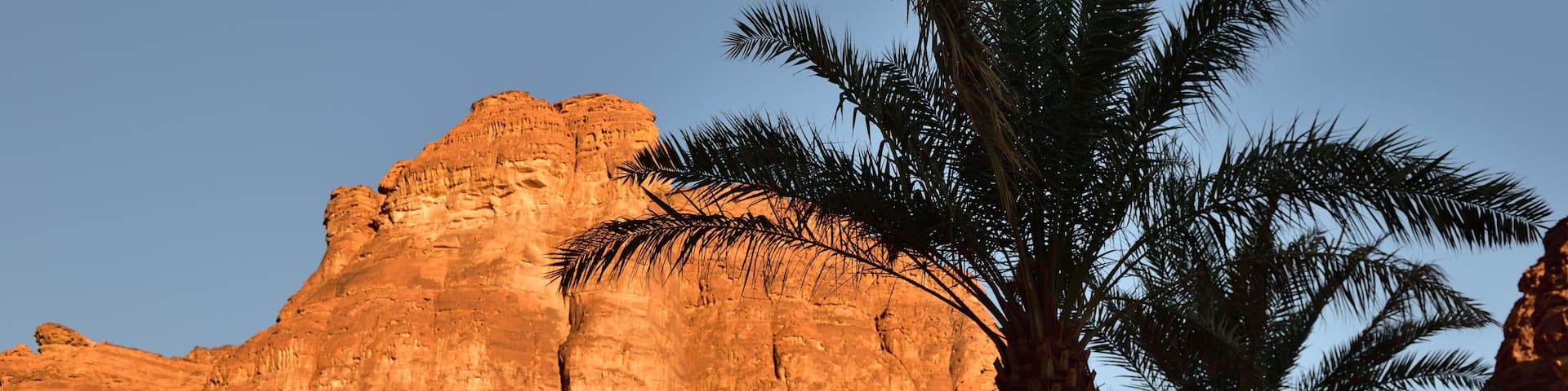 A huge red monolithic rock and palm trees at Shaden Resort near Al Ula in Saudi Arabia