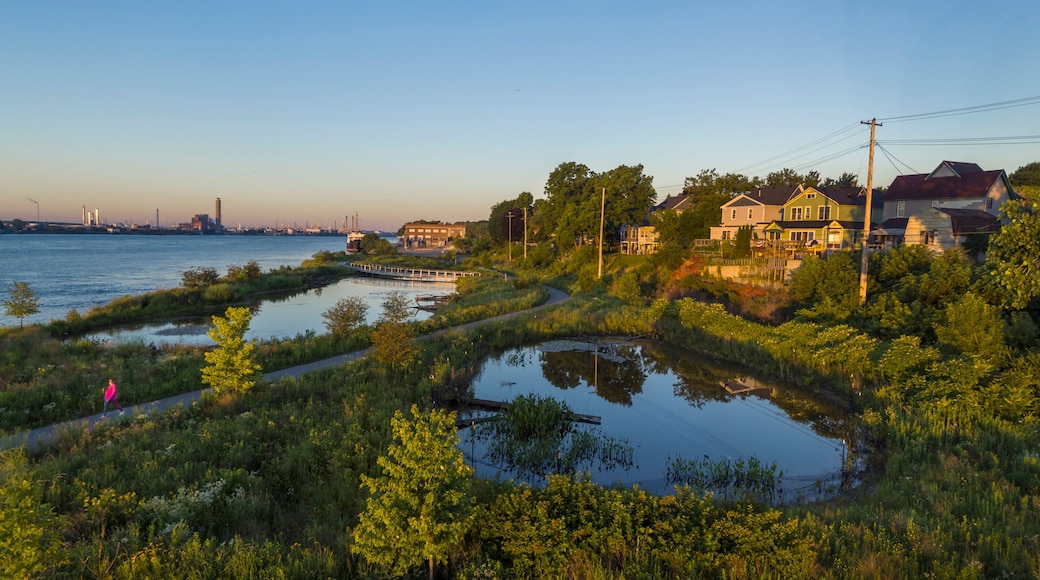 Restored Wetland, Blue River Park, St. Clair River, Port Huron, MI