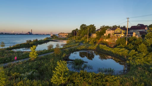 Restored Wetland, Blue River Park, St. Clair River, Port Huron, MI