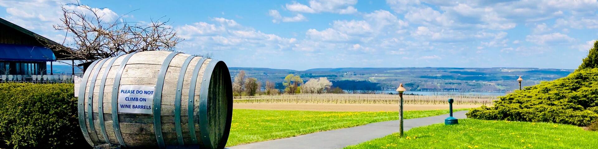 Two large wooden wine barrels with a warning sign, a paved path, a grassy field with yellow flowers, and a distant view of hills under a blue sky with clouds.