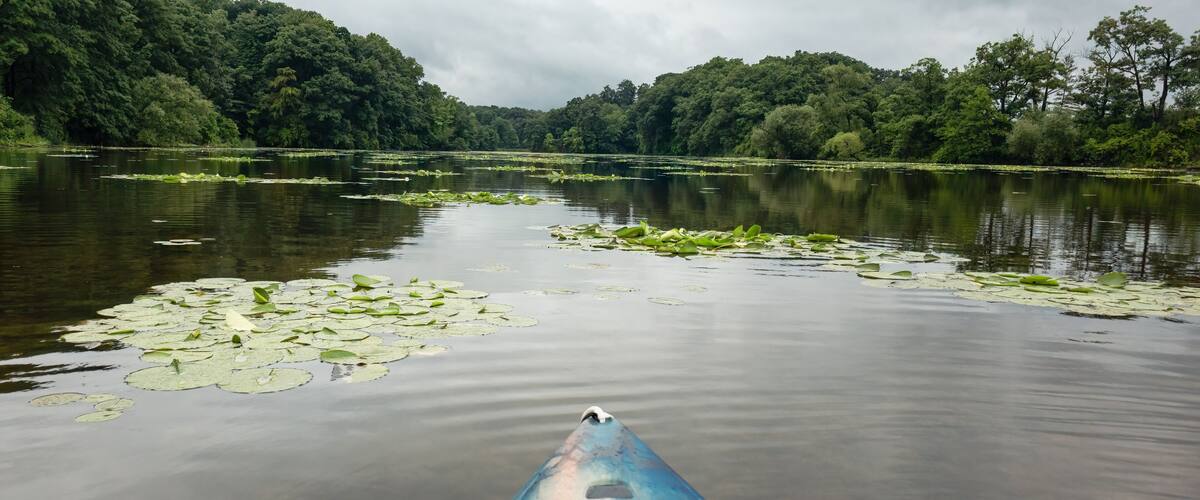 Kayaking from Princess Point to Cootes Paradise in Hamilton, Ontario, Canada