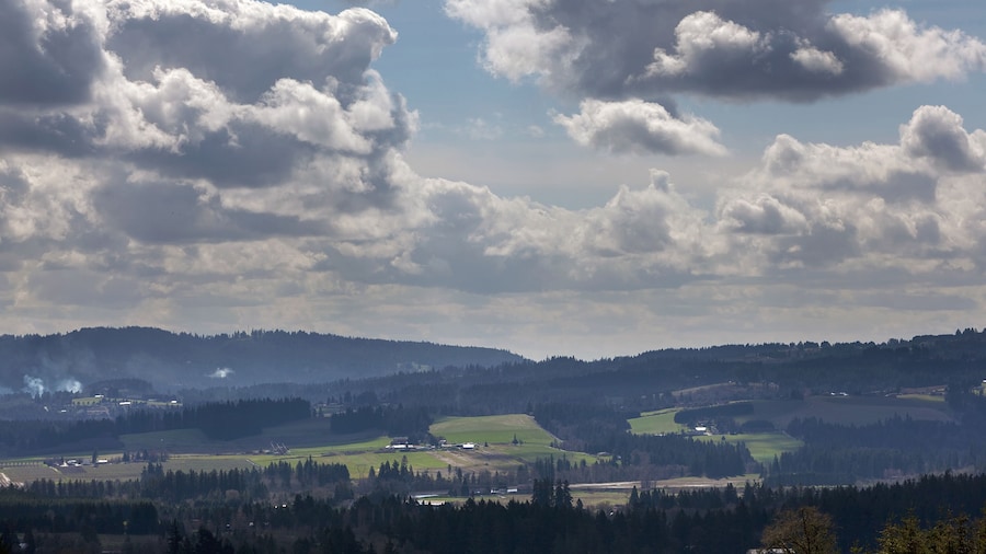 Chehalem Mountains and Tualatin River Valley View