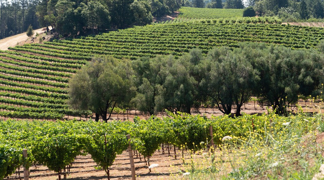 Bella Luna Estate Winery