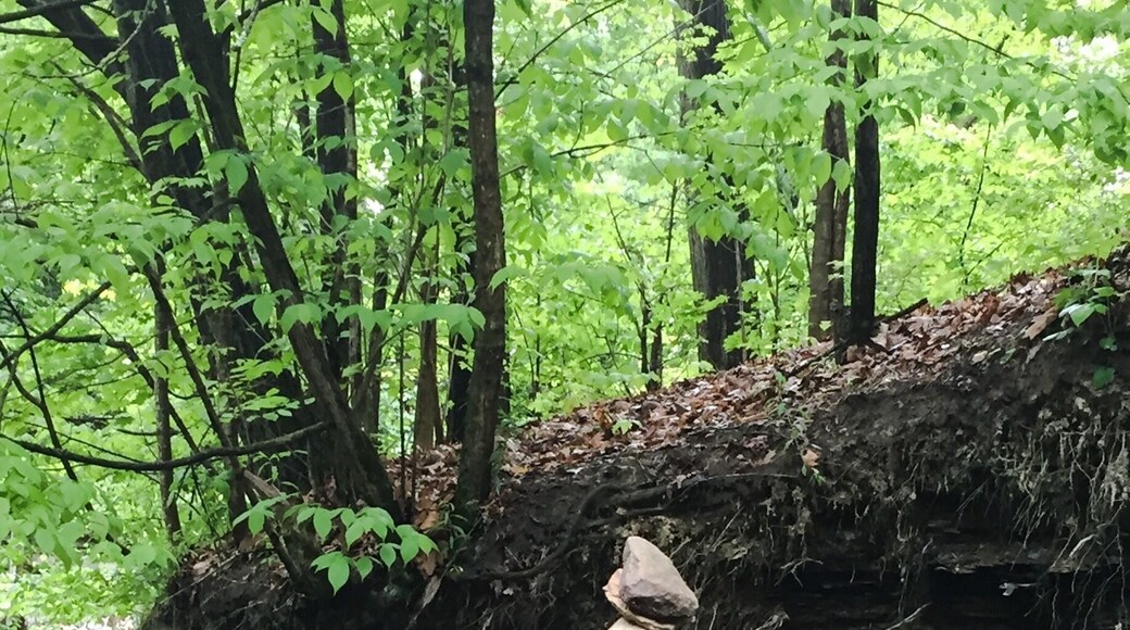 We had some difficulty getting to the trailhead but were happy when we did. What a beautiful little ravine park in Columbus Ohio.