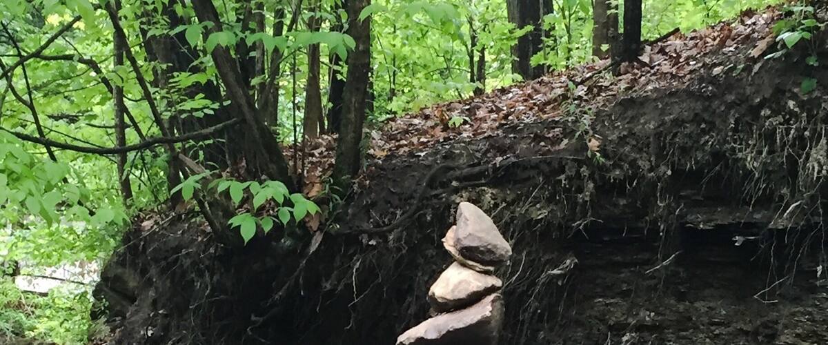 We had some difficulty getting to the trailhead but were happy when we did. What a beautiful little ravine park in Columbus Ohio.