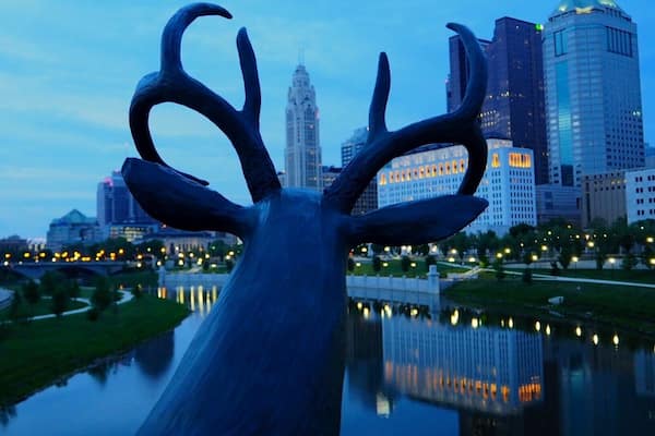 Odocoileus virginianus leveque