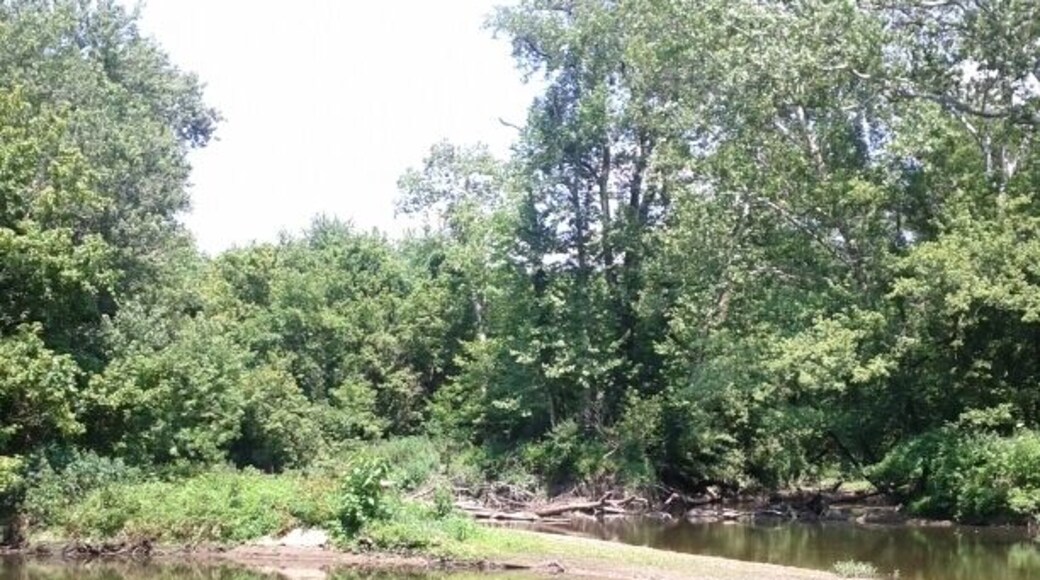 Parc de Three Creeks