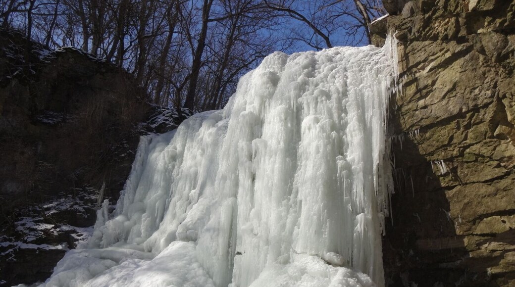 Hayden Falls Park is a two acre pocket park hidden right under the noses of thousands of daily commuters. There is not much signage and only a few parking spots located on the western shore of the Scioto River near the Griggs Reservoir bridge. A set of steps leading down to a boardwalk and an overlook were constructed in 2006.
In the winter, the fall freezes and creates a dazzling 35ft ice curtain formation with tiny trickles heard running behind the shale walls.
In the spring, after the snow melt or a heavy downpour, the water roars over the falls and drowns out the urban noise pollution and it's easy to forget that you are just feet from 45mph thoroughfare.
In the summer, the water slows and the sound changes to that of a gentle shower. The rocky walls of the gorge the encompass the falls are exposed and ferns find a way to take hold.
#snow