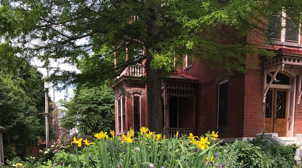 #hometown pride in our beautiful #gardens #details