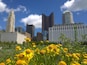 Wildflowers in Genoa Park along the bank of the Scioto River with the Columbus skyline as a backdrop.