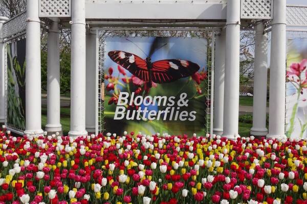 Entrada al Franklin Park Conservatory and Botanical Gardens, con un letrero que dice "Blooms & Butterflies" y un colorido campo de tulipanes al frente.