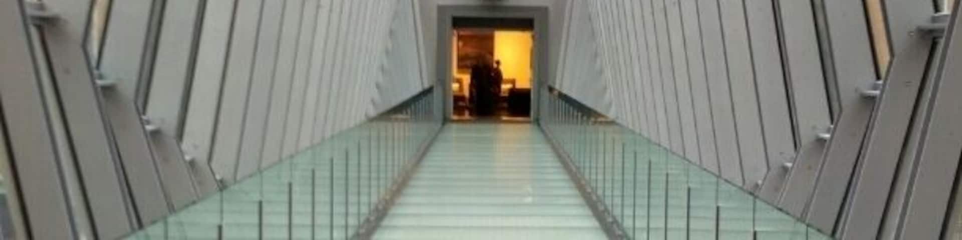 A view of the new pedestrian skywalk connecting the convention center to the new downtown Hilton.