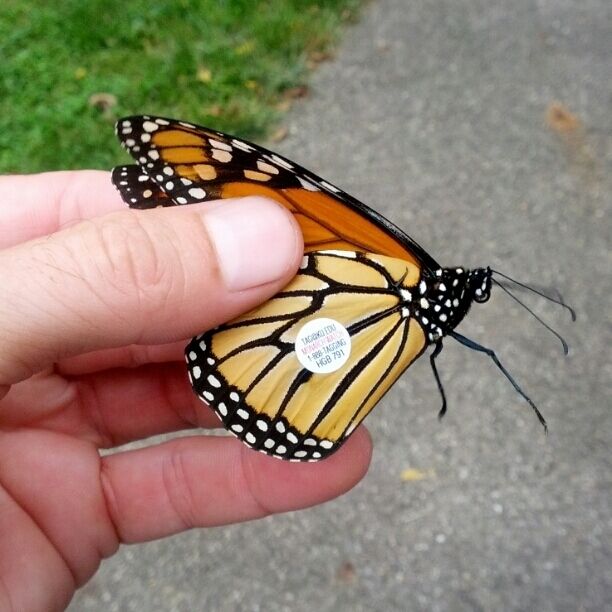 Công viên Metro Blendon Woods