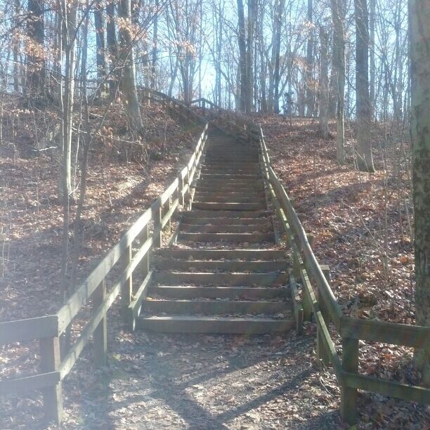 Blendon Woods Metro Park