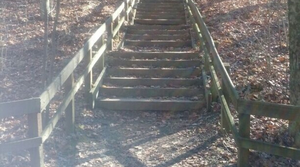 Blendon Woods Metro Park