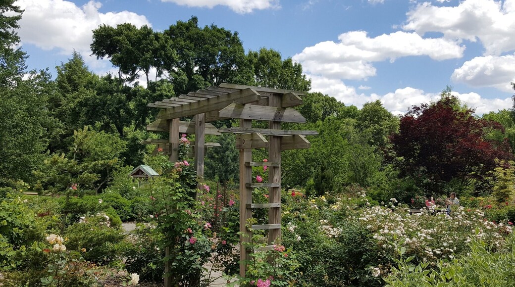 And so fragrant! #springfun