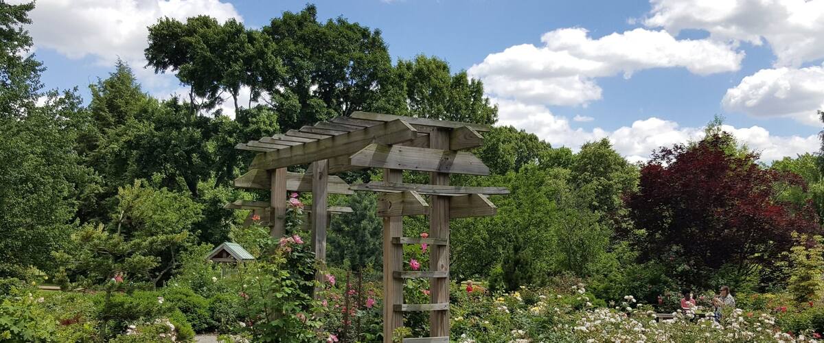 And so fragrant! #springfun