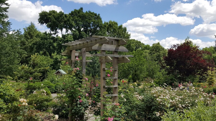 And so fragrant! #springfun