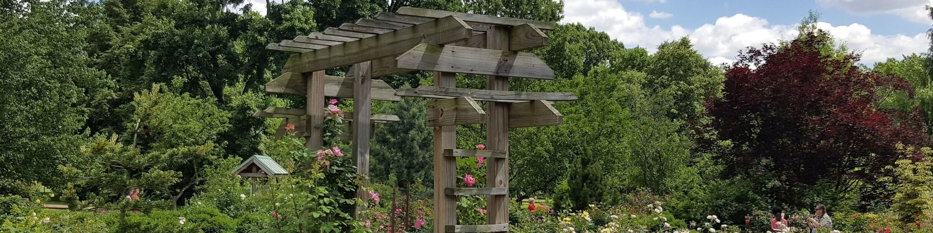 And so fragrant! #springfun