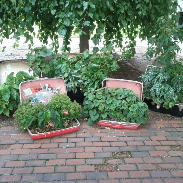 Chadwick Arboretum & Learning Gardens