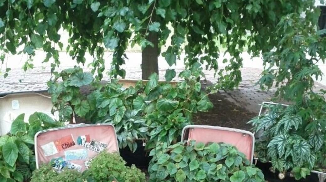 Chadwick Arboretum & Learning Gardens